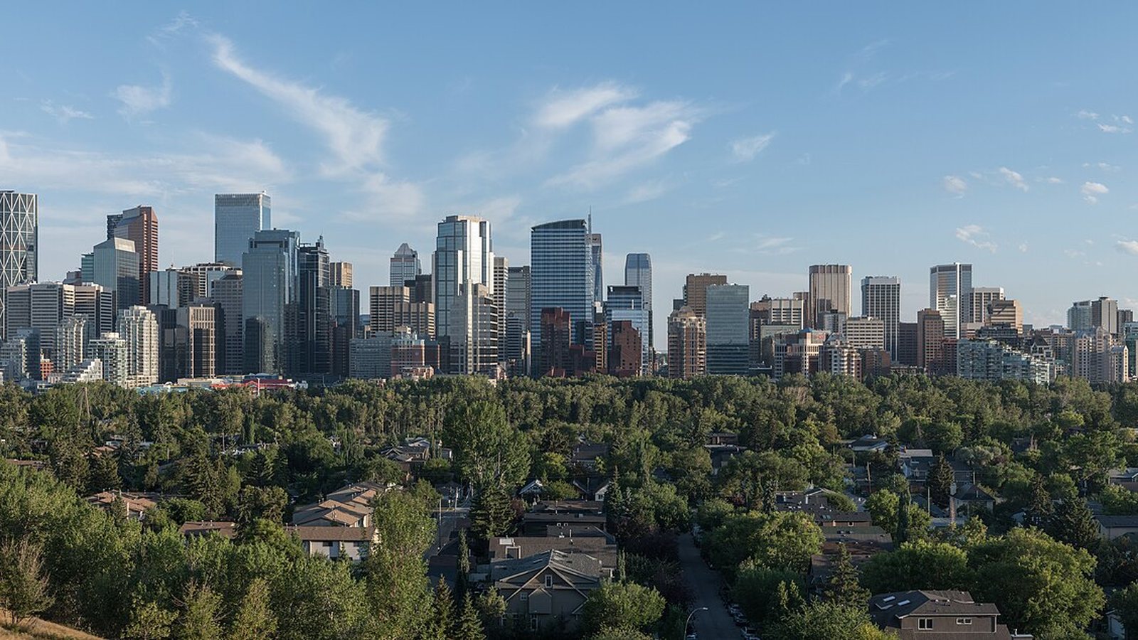 The downtown Calgary skyline rising above tree-lined residential streets