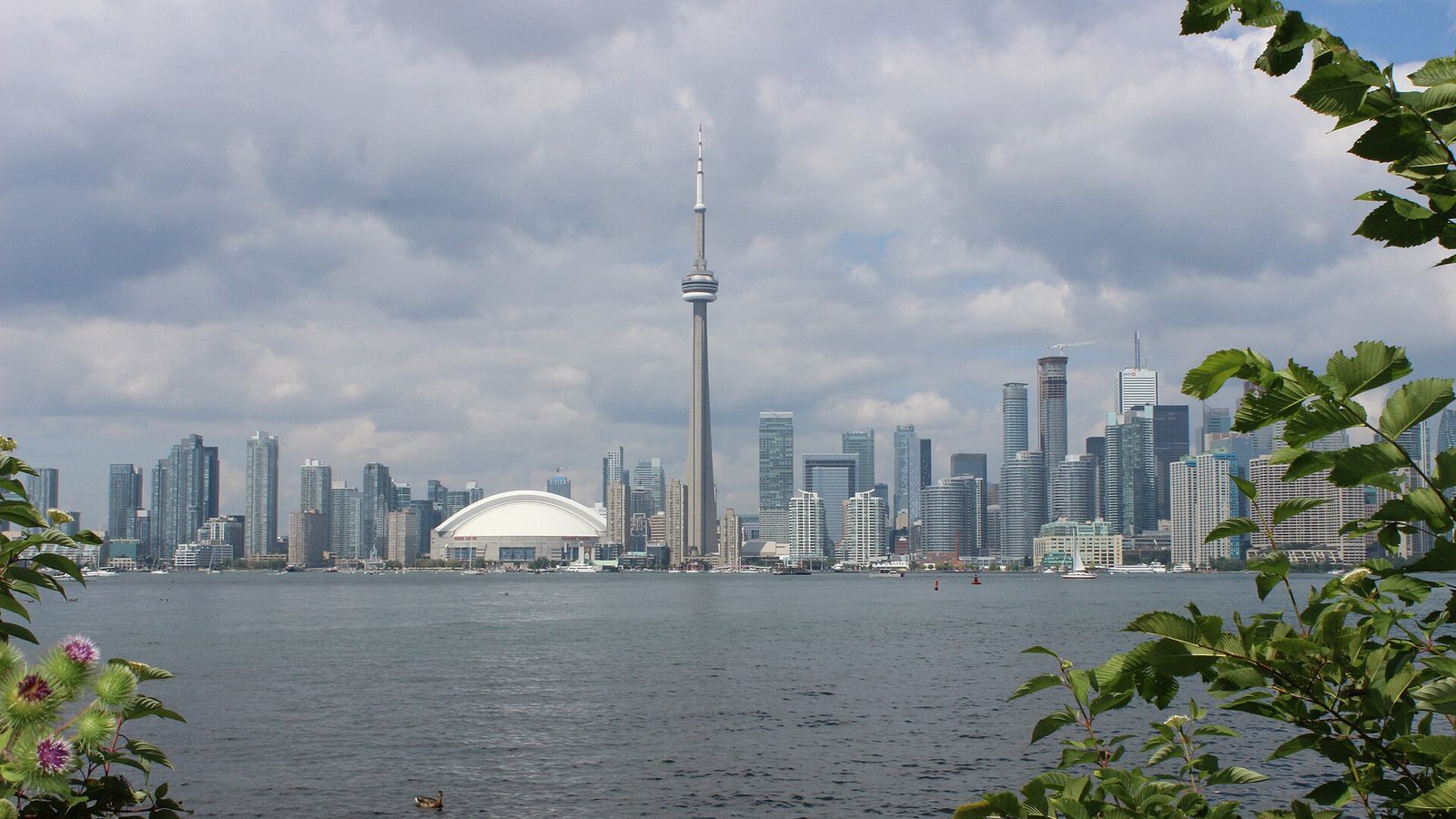 Toronto skyline with the CN Tower seen across the water from Centre Island