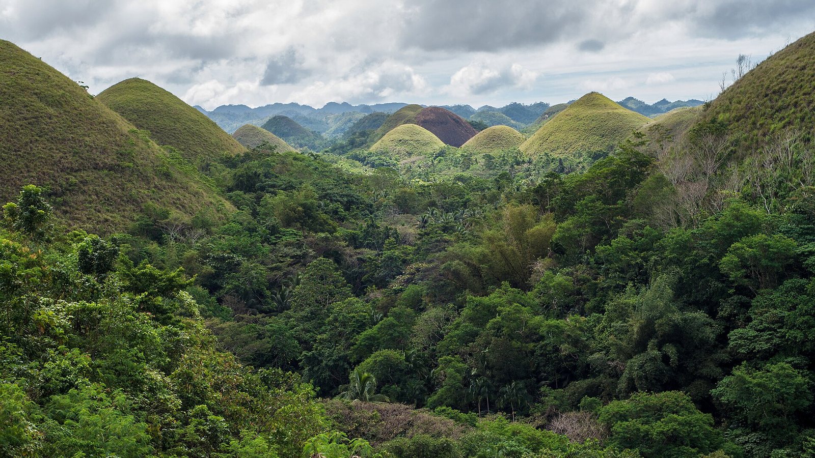 The Chocolate Hills of Bohol rising above green forest under a cloudy sky