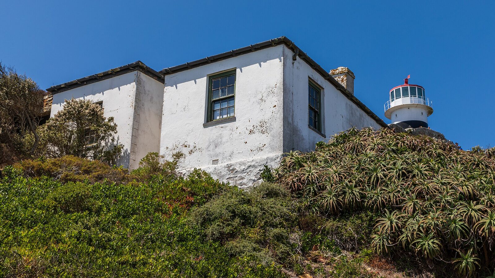 White-walled historic lighthouse keepers' cottages above a slope of aloes and fynbos, with the Cape Point lighthouse behind under a clear blue sky
