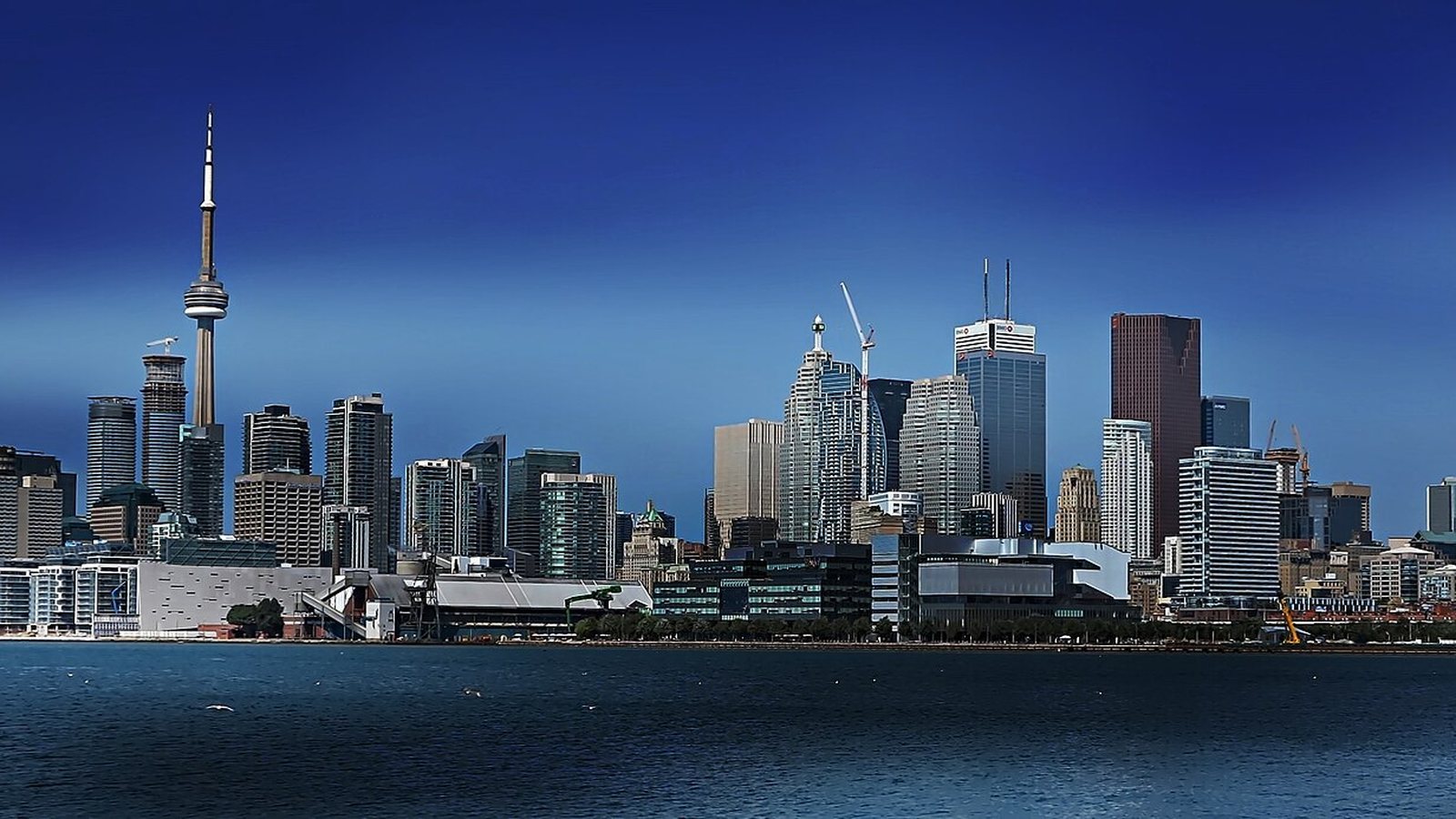 Toronto's skyline with the CN Tower and downtown towers seen across Lake Ontario