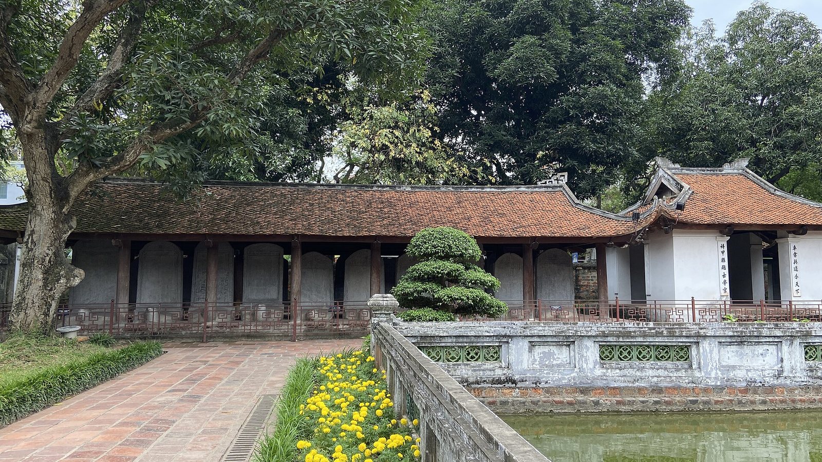 A courtyard of the Temple of Literature in Hanoi with a tiled-roof pavilion sheltering stone stelae, a trimmed bonsai tree and yellow flowers beside a pond